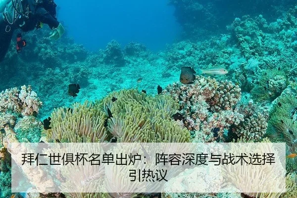 bai-ren-shi-ju-bei-ming-dan-chu-lu-zhen-rong-shen-du-yu-zhan-shu-xuan-ze-yin-re-yi-2-785.jpg